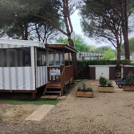 Au Bonheur Des Landes Hotel Gastes Bagian luar foto