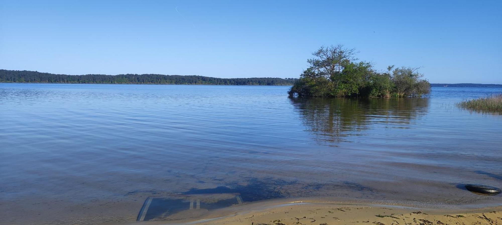 Au Bonheur Des Landes Hotel Gastes Bagian luar foto
